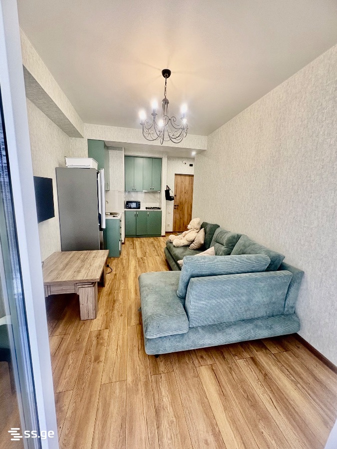 2 room Flat For Rent. Didi digomi - Widok 5