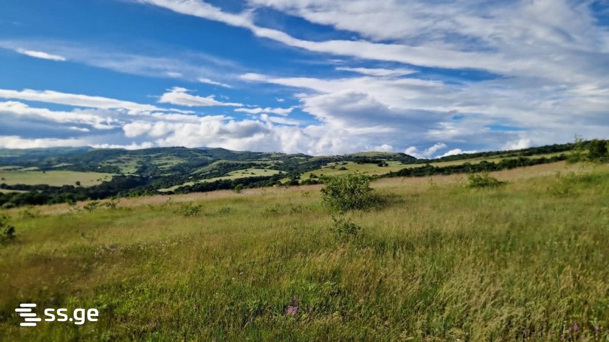 Land For Sale. Orbeti view 4