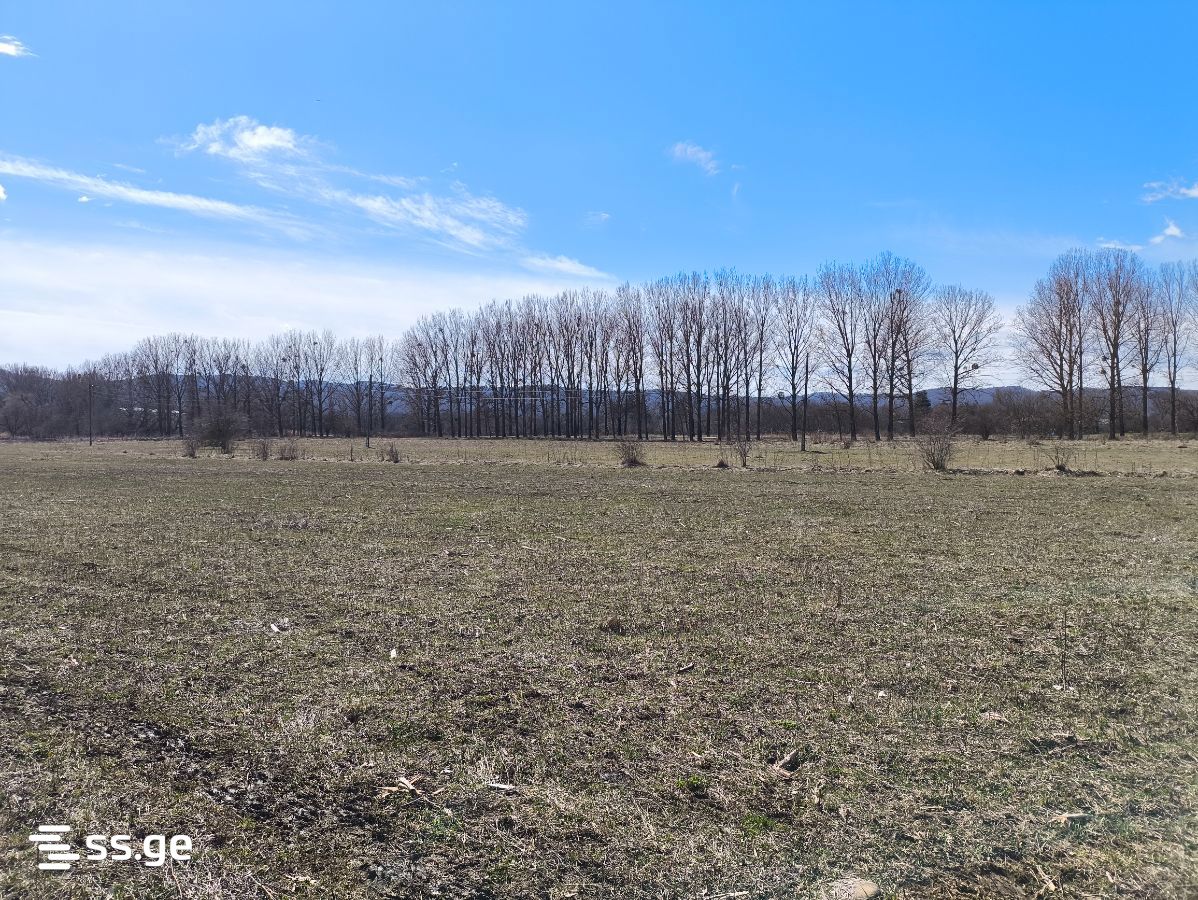For Sale Ara Sasoplo-Sameurneo Land Plot Tianetis Munitsipalitetshi view 32