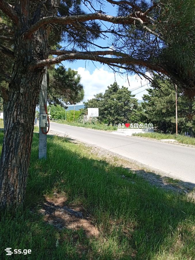 Land For Sale. Norio view 3