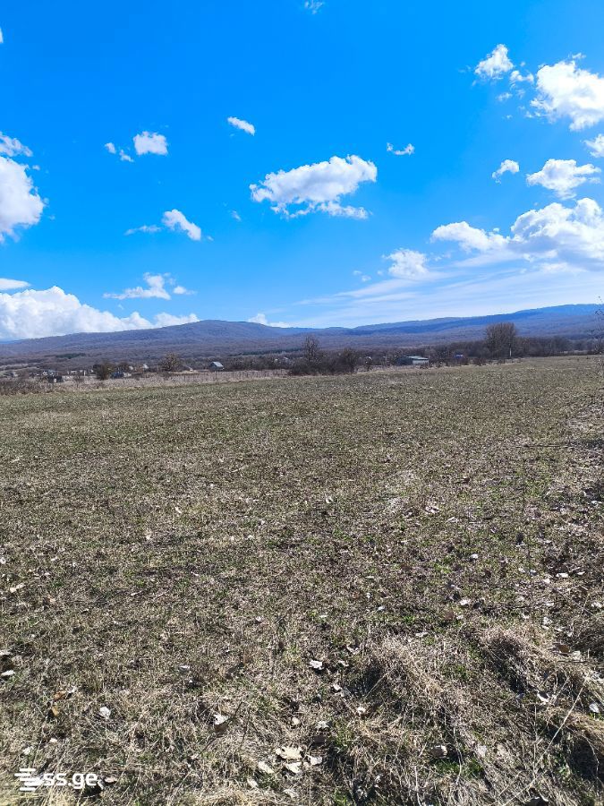 For Sale Ara Sasoplo-Sameurneo Land Plot Tianetis Munitsipalitetshi view 31