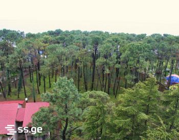 Продажа 3-комната Квартира view 3