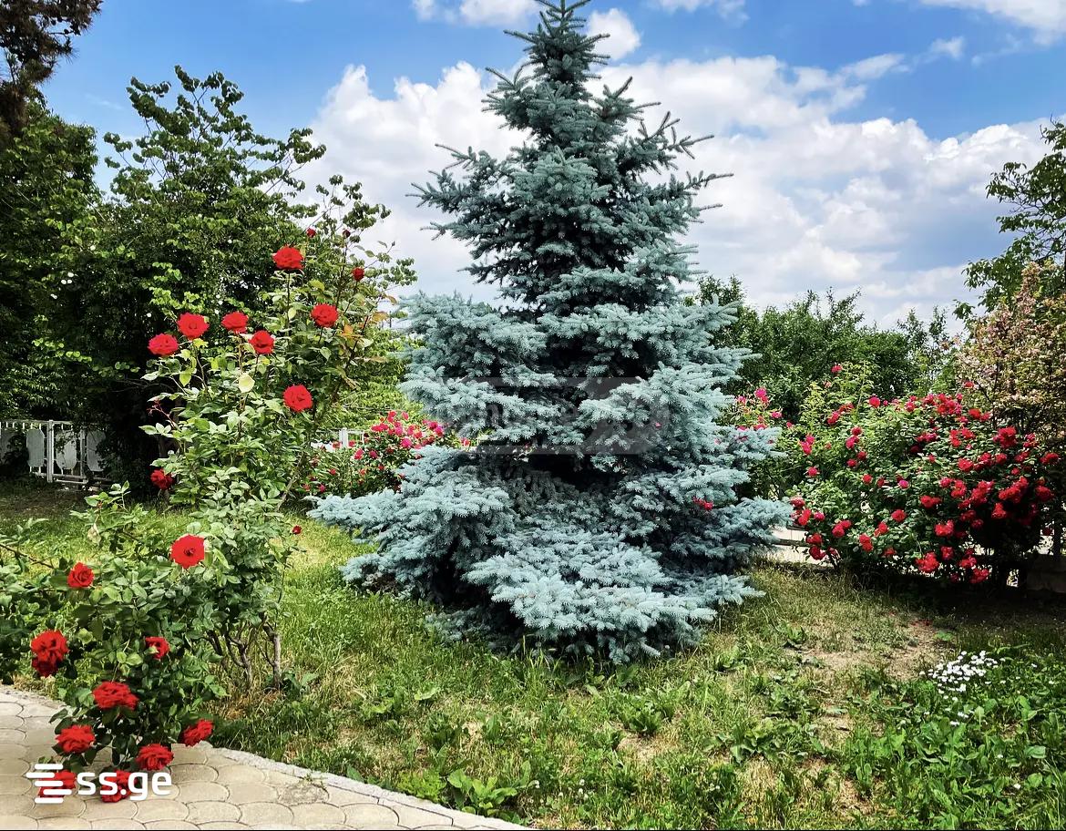 3 Room Summer Cottage For Sale, 2 of 4