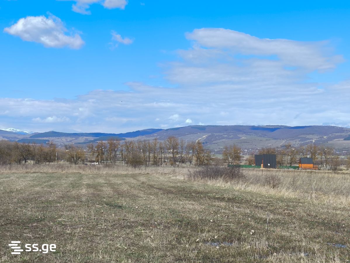 For Sale Ara Sasoplo-Sameurneo Land Plot Tianetis Munitsipalitetshi view 27