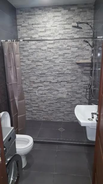 https://static.ss.ge/20260702/19_e66f3779-0c04-45b1-8769-ab90a63b2330_Thumb.jpg
