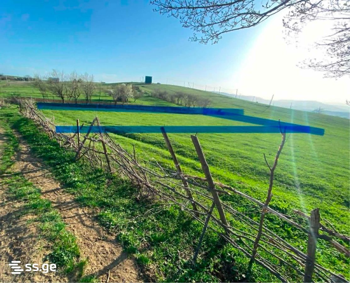 Land For Sale. Orbeti view 4