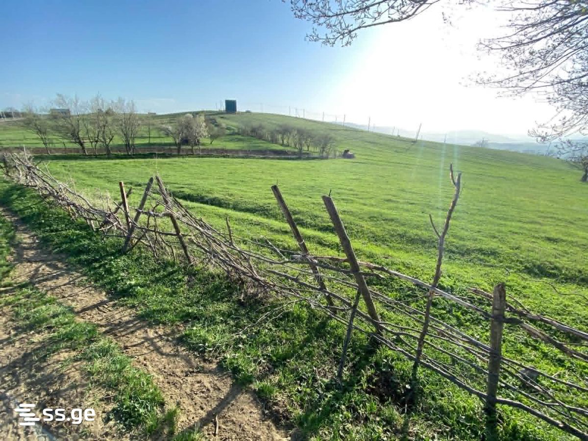 Land For Sale. Orbeti view 1