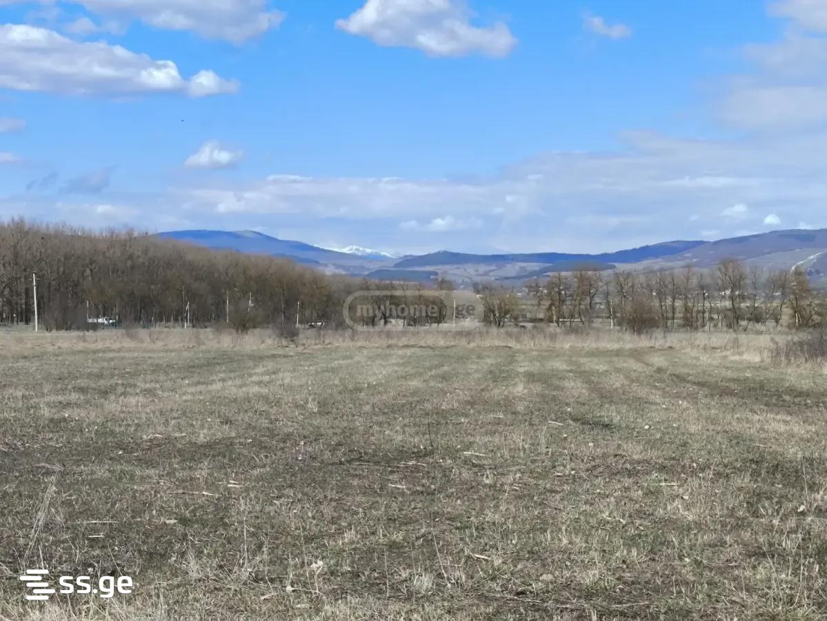 For Sale Ara Sasoplo-Sameurneo Land Plot Tianetis Munitsipalitetshi view 17