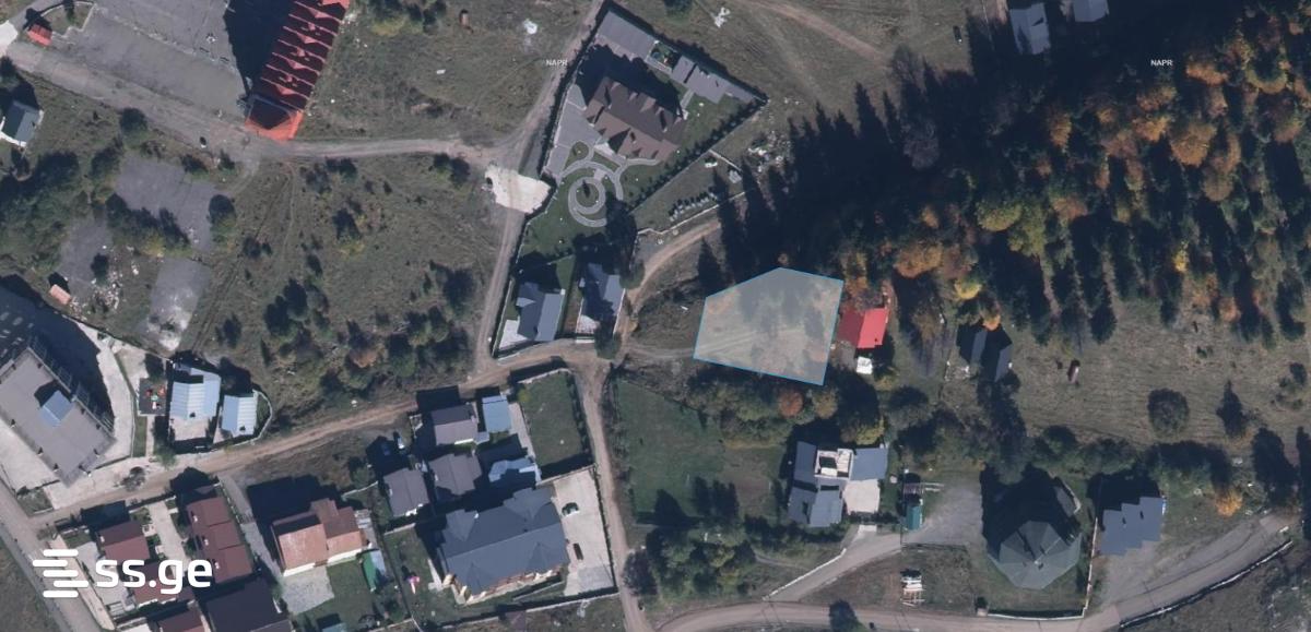 Land For Sale. Bakuriani view 1