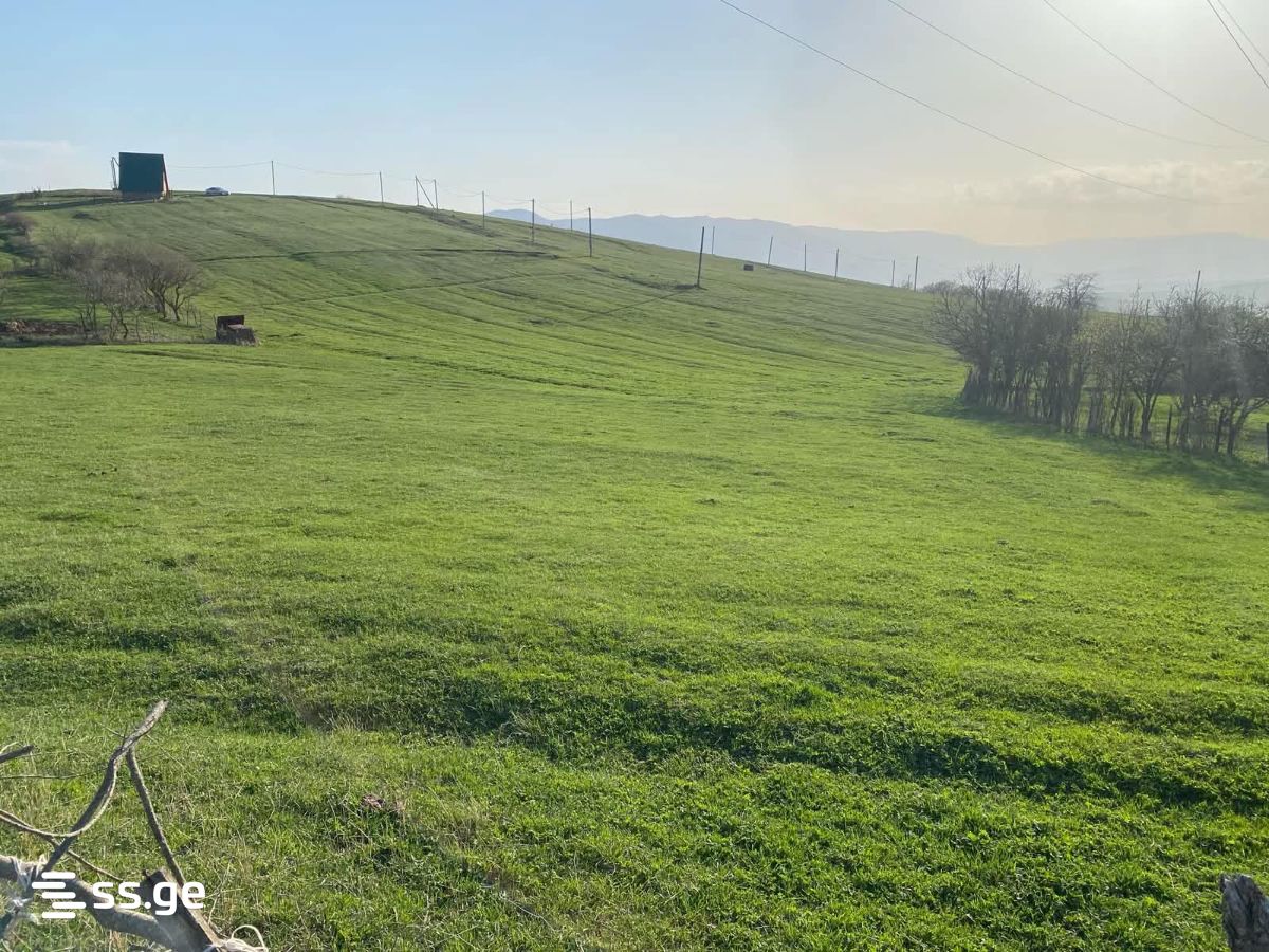Land For Sale. Orbeti view 3
