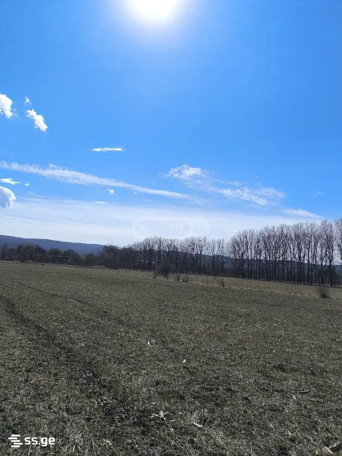 For Sale Ara Sasoplo-Sameurneo Land Plot Tianetis Munitsipalitetshi view 18