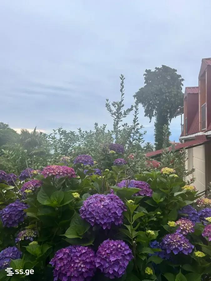 For Rent 1 Room Apartment view 33