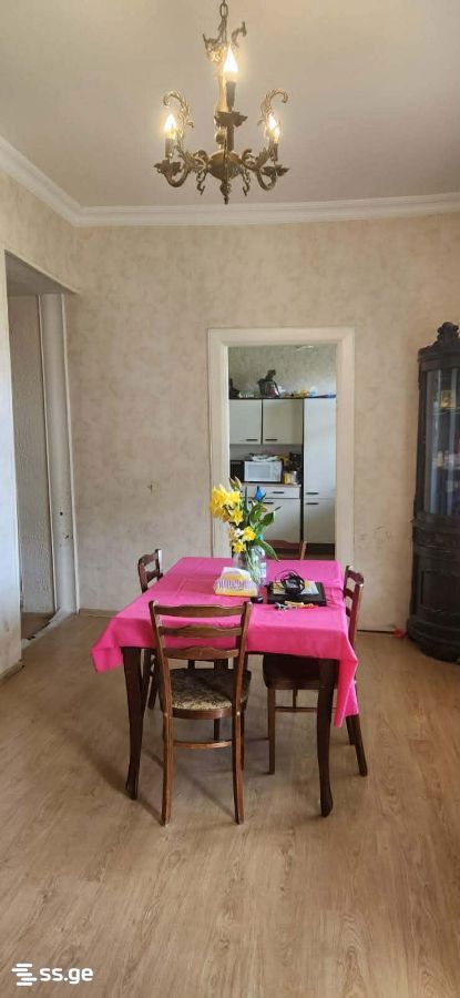 5 Room Summer Cottage For Rent. Tsodoreti view 4