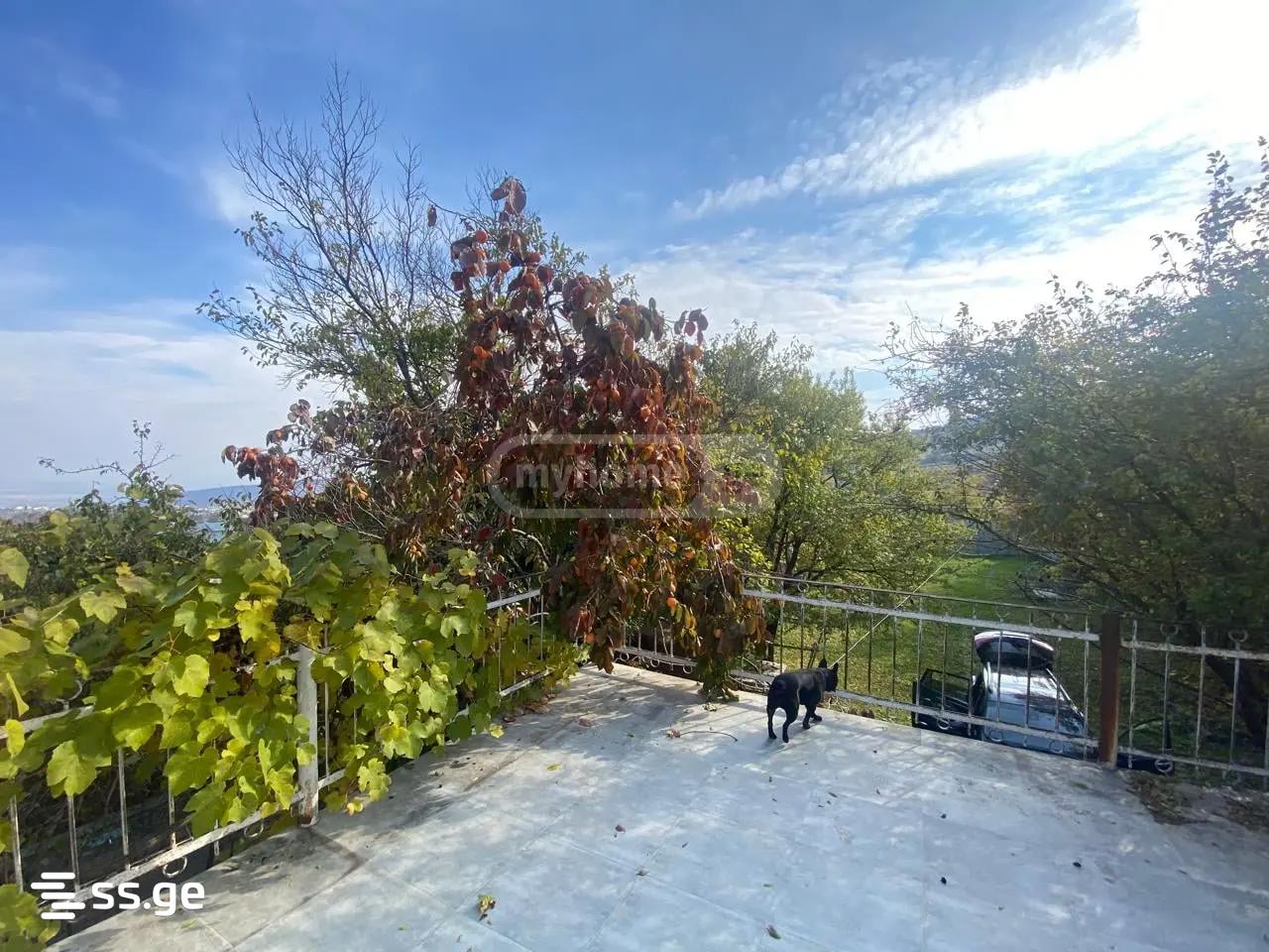 5 Room Summer Cottage For Rent. Tsavkisi view 10