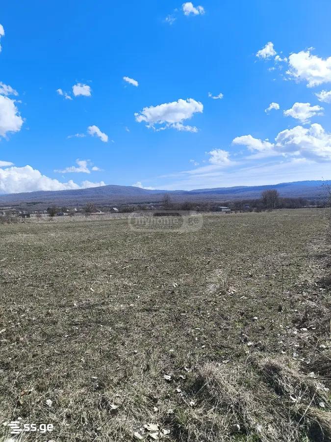 For Sale Ara Sasoplo-Sameurneo Land Plot Tianetis Munitsipalitetshi view 21