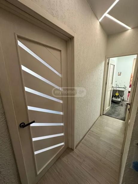 https://static.ss.ge/20260702/3_6836fd6a-0de1-4927-ba8f-e6c3d5c11a7b_Thumb.jpg