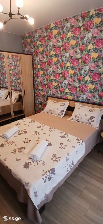 2 Room Flat Daily Rent. Didi Digomi view 3