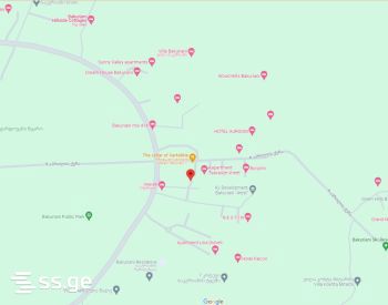 Продажа Commercial Space в Бакуриани view 10