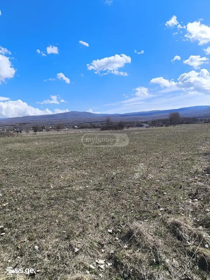 For Sale Ara Sasoplo-Sameurneo Land Plot Tianetis Munitsipalitetshi view 22