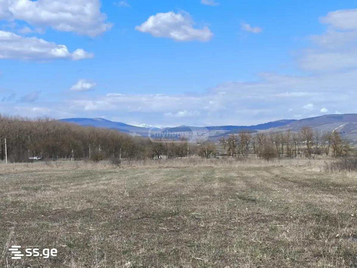 For Sale Ara Sasoplo-Sameurneo Land Plot Tianetis Munitsipalitetshi view 19