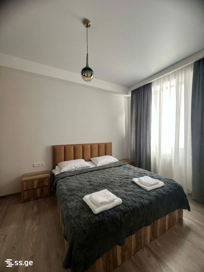 2 Room Flat Daily Rent. Bakurianis Andeziti view 8