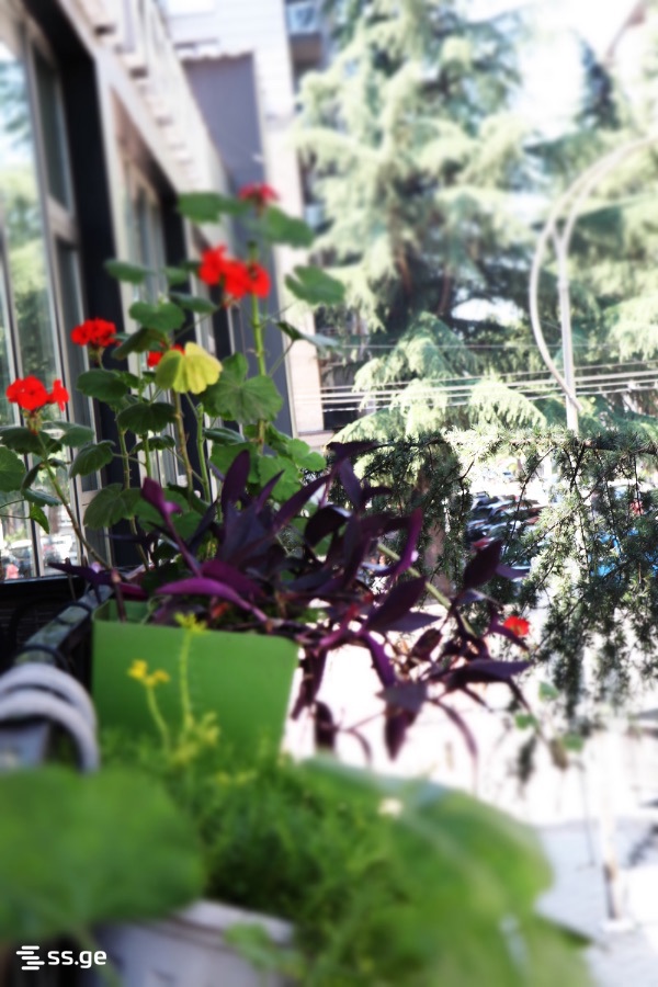 2 room Flat For Sale. Batumi – pohled 3