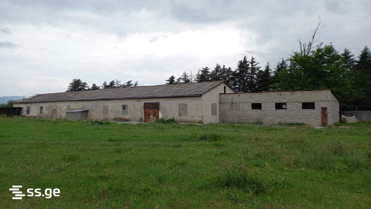 Store-Industrial Property For Rent. Mtskheta view 8