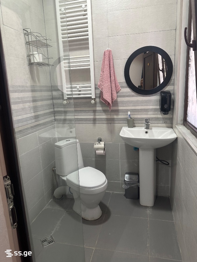 2 room Flat Daily rent. Isani - Ansicht 5