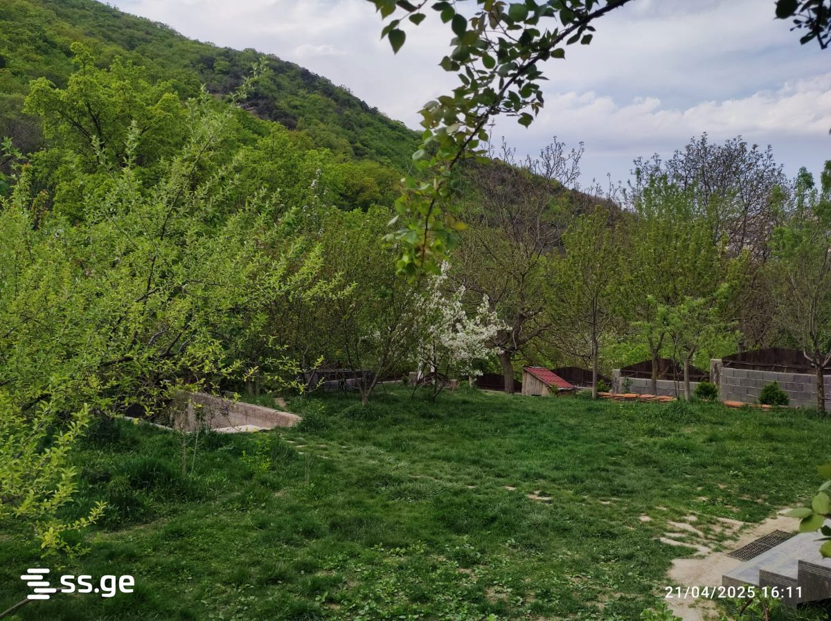 5 Room Private House For Rent. Mtskheta view 13
