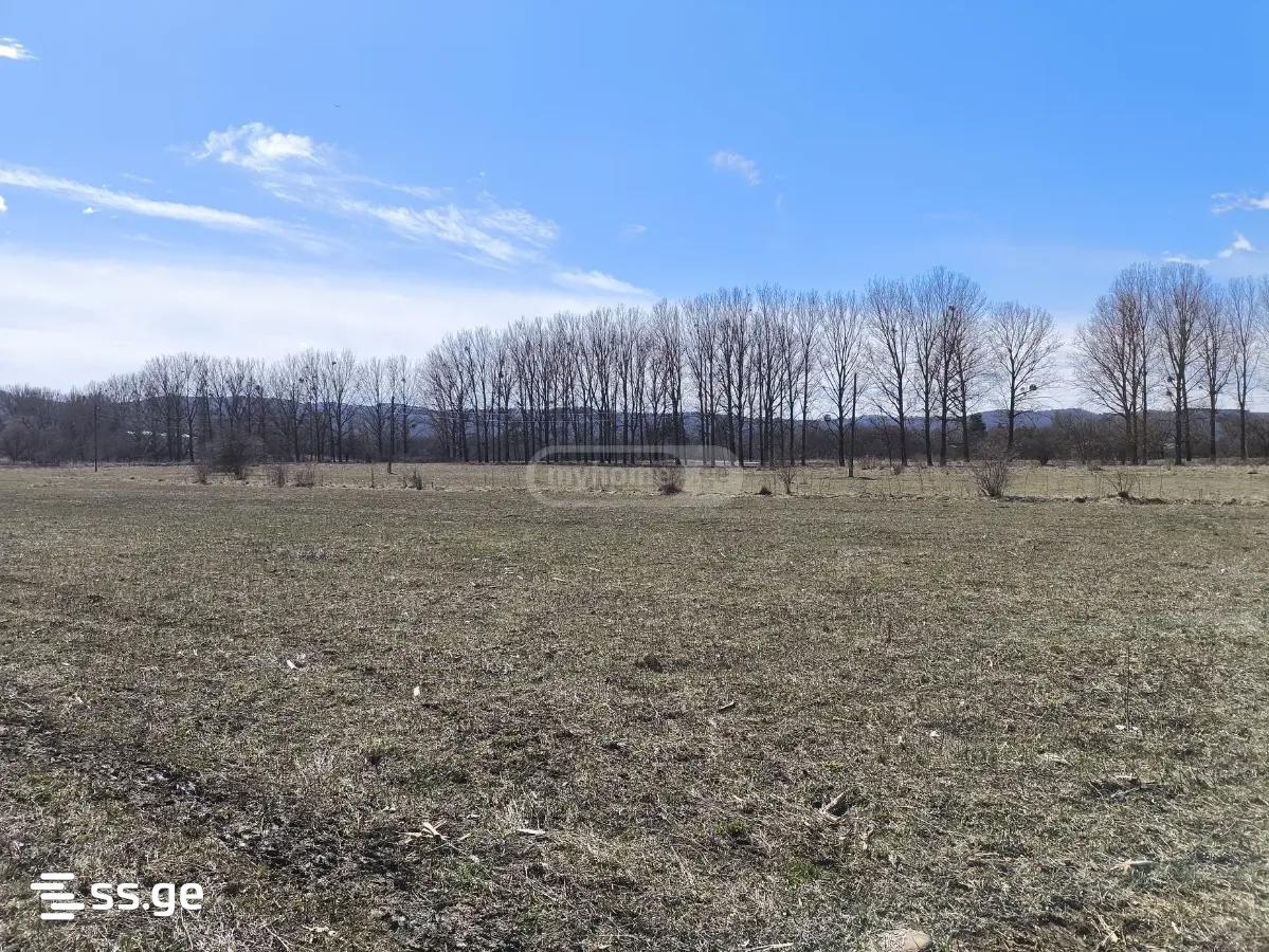 For Sale Ara Sasoplo-Sameurneo Land Plot Tianetis Munitsipalitetshi view 24