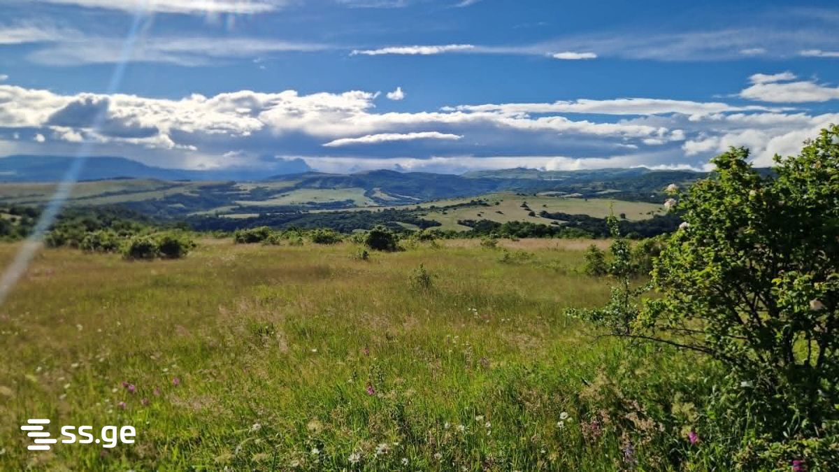 Land For Sale. Orbeti view 1