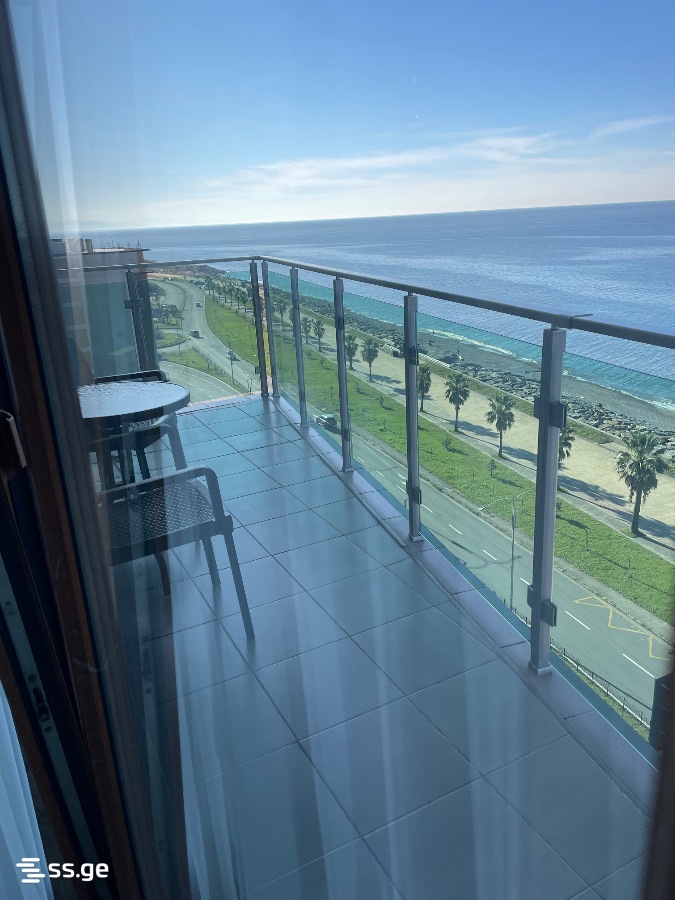 1 Room Flat Daily Rent. Batumi view 14