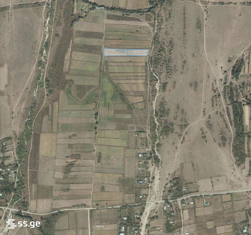 For Sale Sasoplo-Sameurneo Land Plot Tianetis Munitsipalitetshi view 14