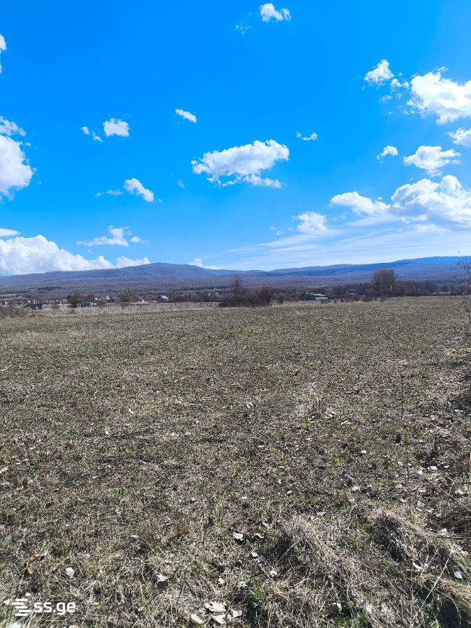 For Sale Ara Sasoplo-Sameurneo Land Plot Tianetis Munitsipalitetshi view 30