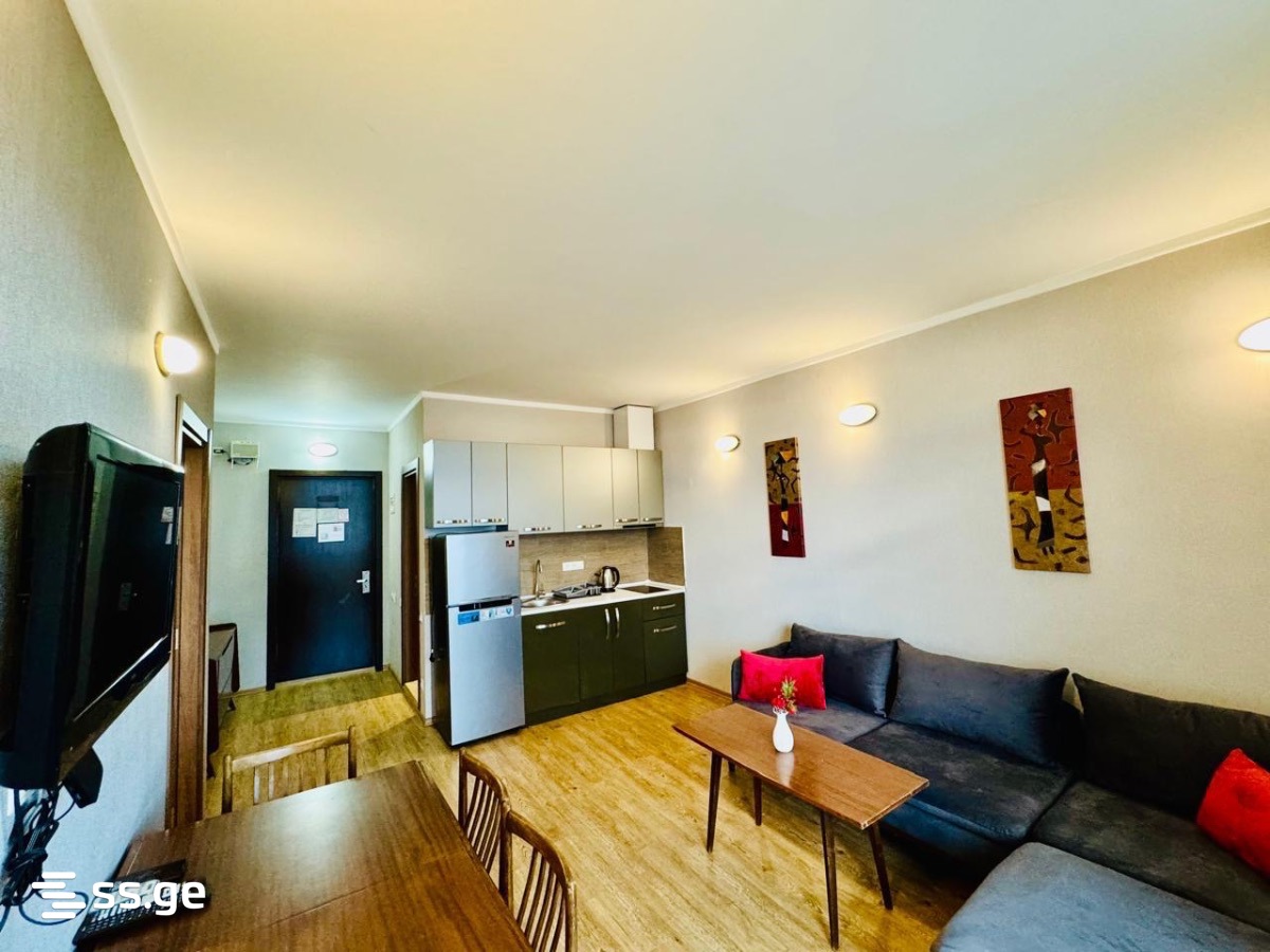 2 Room Flat Daily Rent. Batumi, 3 of 4