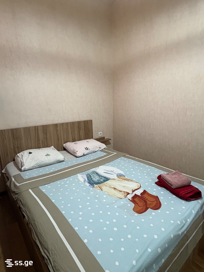 2 Room Flat Daily Rent. Saburtalo, 3 of 10