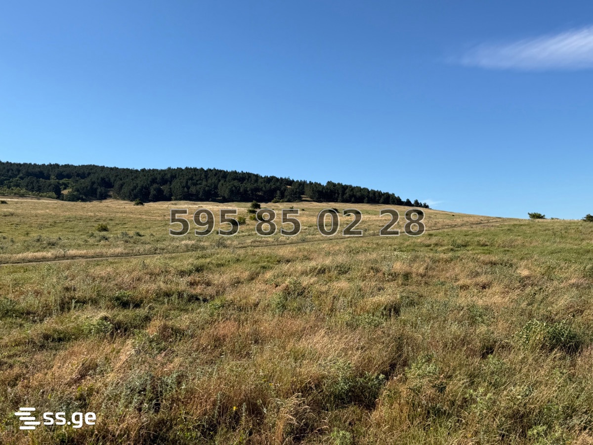 Land For Sale. Mtatsminda view 10