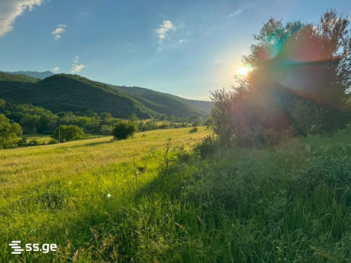 Land For Sale. Manglisi view 7