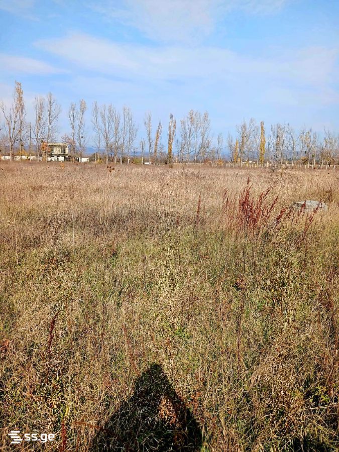 Продажа Земля в базалети view 2