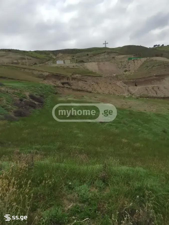 Land For Sale. Krtsanisi view 6