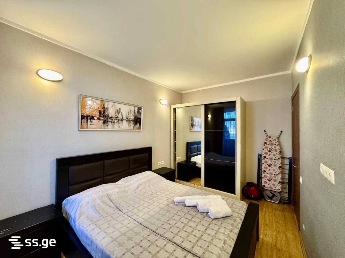 2 Room Flat Daily Rent. Batumi view 12