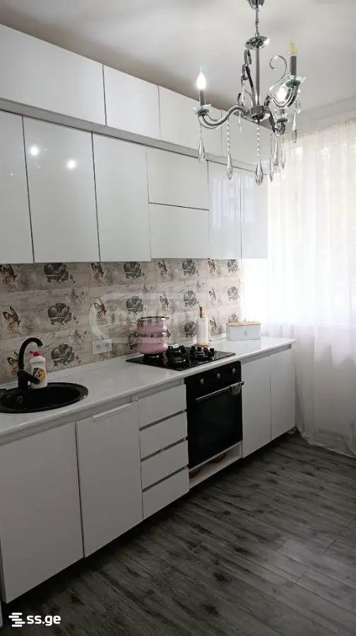 4 Room Private House For Rent. Nadzaladevi view 4