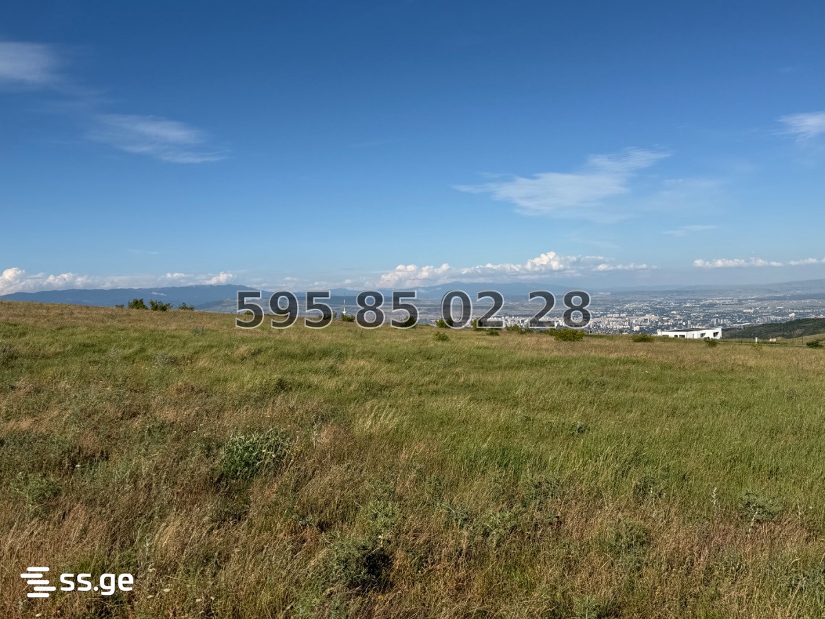 Land For Sale. Mtatsminda view 5