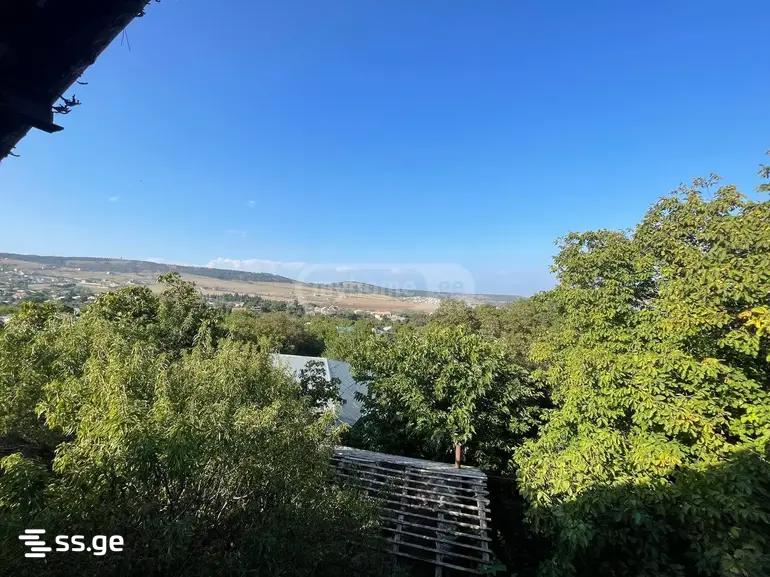 For Sale 5 Room Country House Krtsanisshi view 21