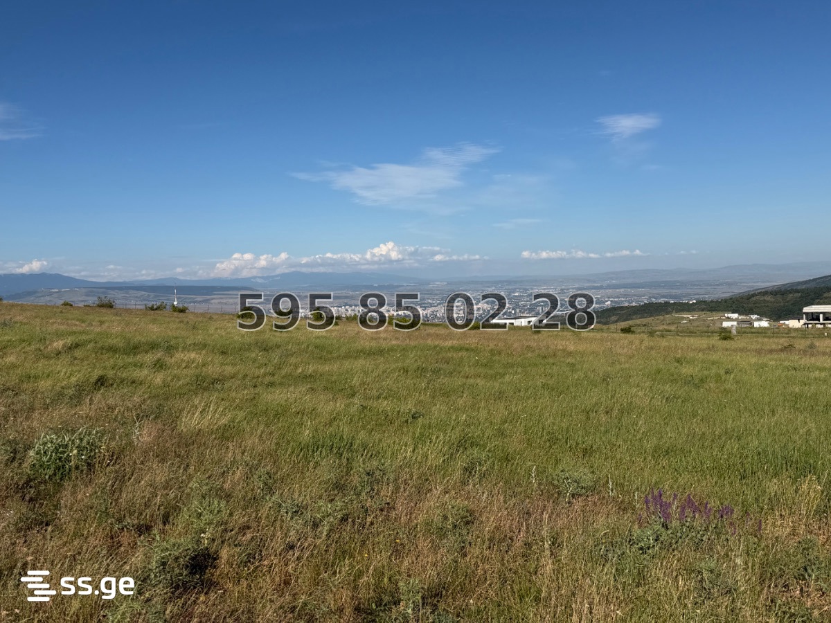 Land For Sale. Mtatsminda view 4