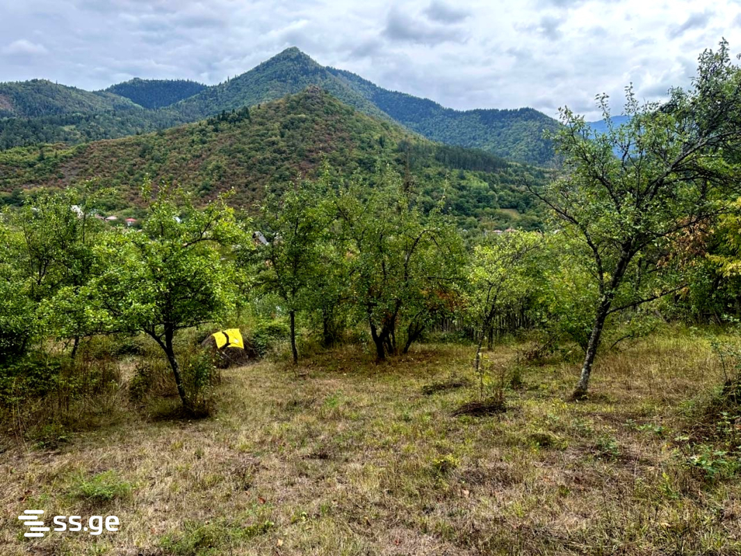 Land For Sale. Borjomi view 3