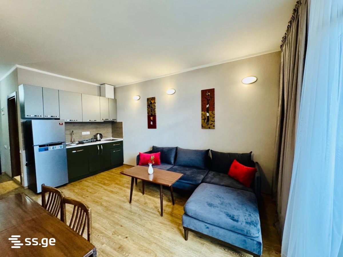 2 Room Flat Daily Rent. Batumi, 2 of 4