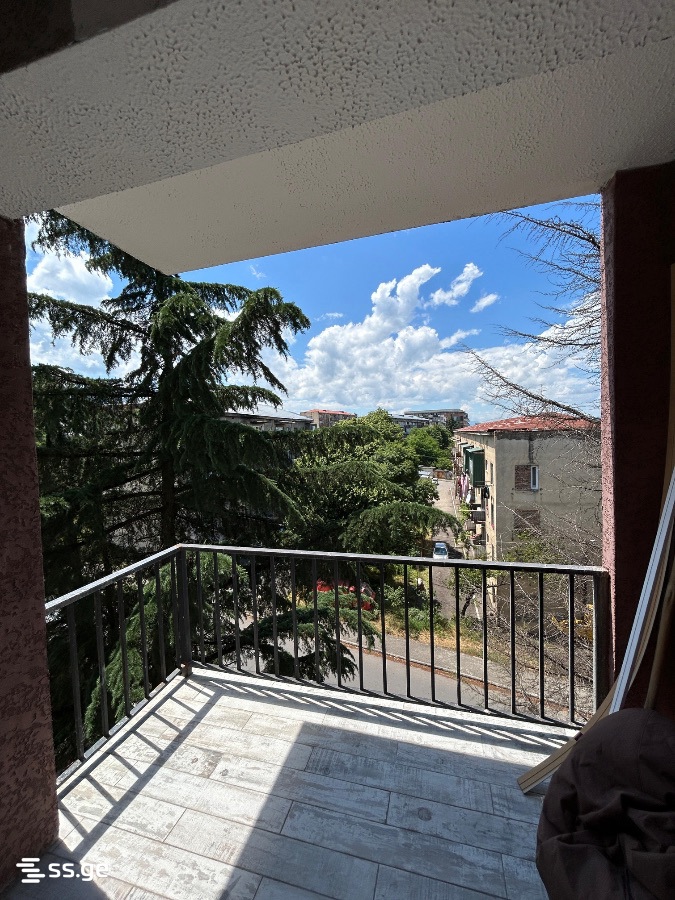 2 Room Flat For Rent. Telavi view 10