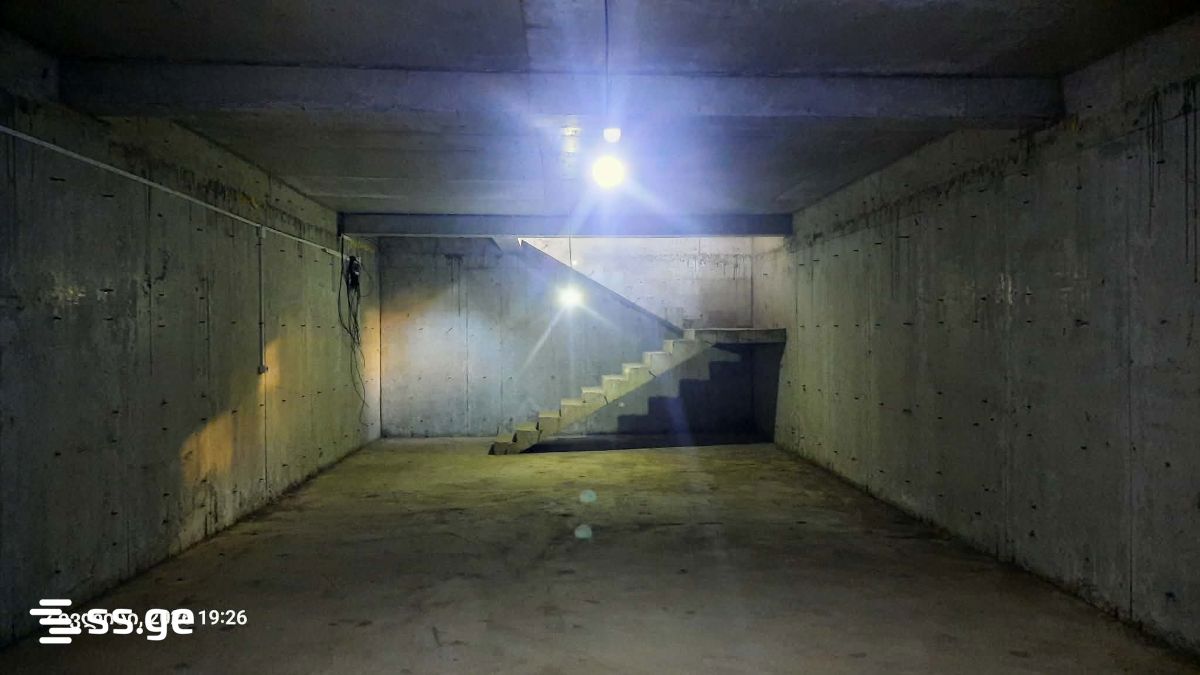 Commercial Real Estate For Rent. Rustavi view 2
