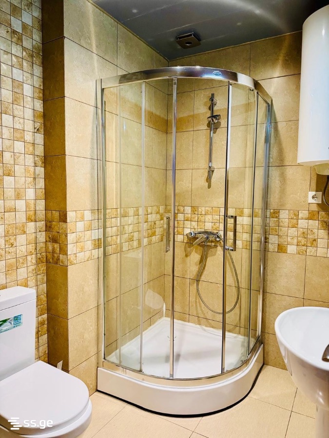 2 Room Flat Daily Rent. Batumi view 6